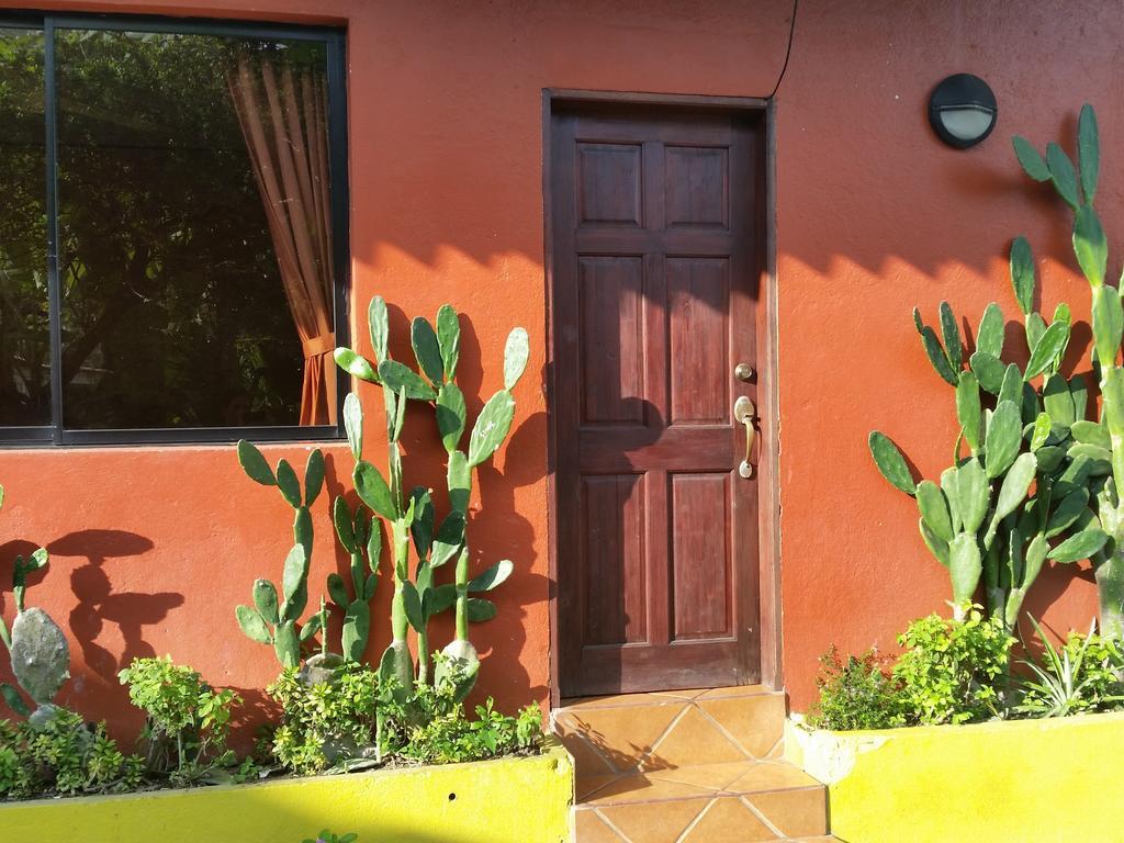 Hotel Cabinas Mar Y Cielo Montezuma Phòng bức ảnh