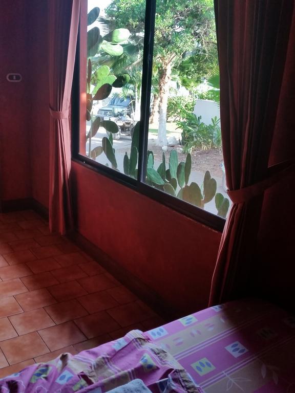 Hotel Cabinas Mar Y Cielo Montezuma Phòng bức ảnh