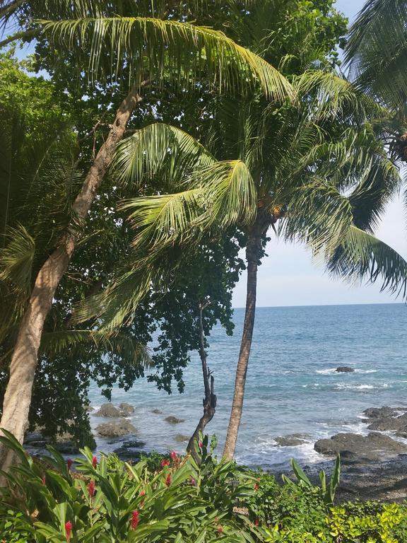 Hotel Cabinas Mar Y Cielo Montezuma Ngoại thất bức ảnh