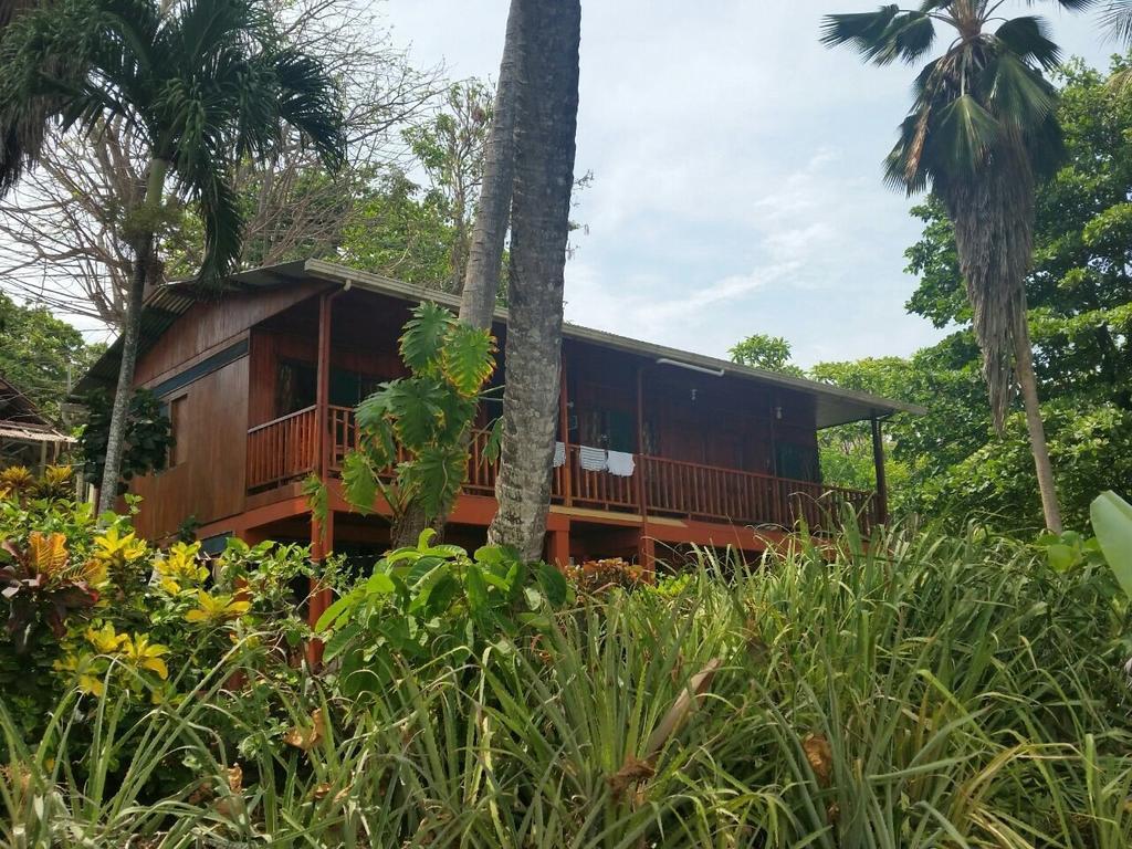 Hotel Cabinas Mar Y Cielo Montezuma Ngoại thất bức ảnh